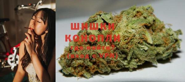 индика Абдулино