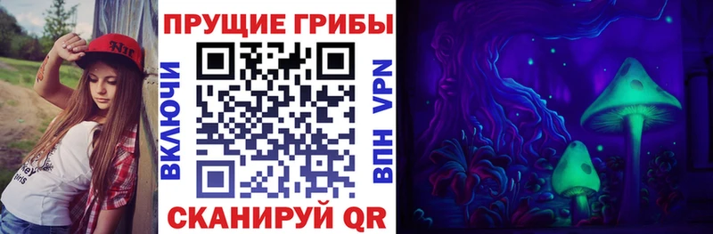 купить наркоту  Фокино  Галлюциногенные грибы GOLDEN TEACHER 
