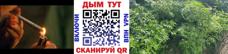 Шишки марихуана Bruce Banner наркошоп Фокино